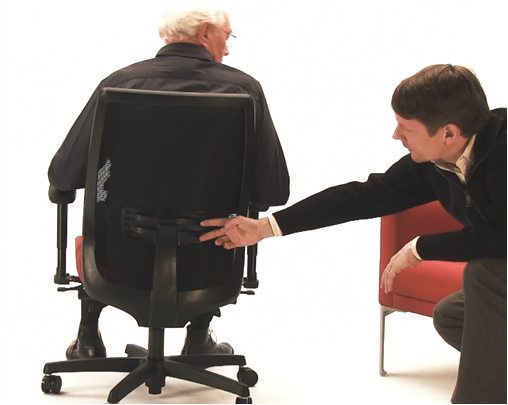 Back and Lumbar Support
