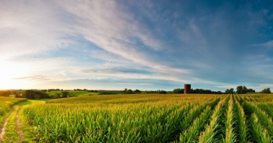 HON is headquartered in Muscatine, IA