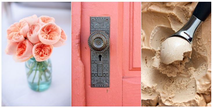 Peach Echo, Limpet Shell & Iced Coffee